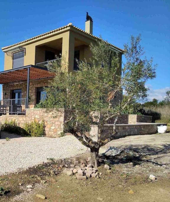 το σπίτι της ελιάς Villa