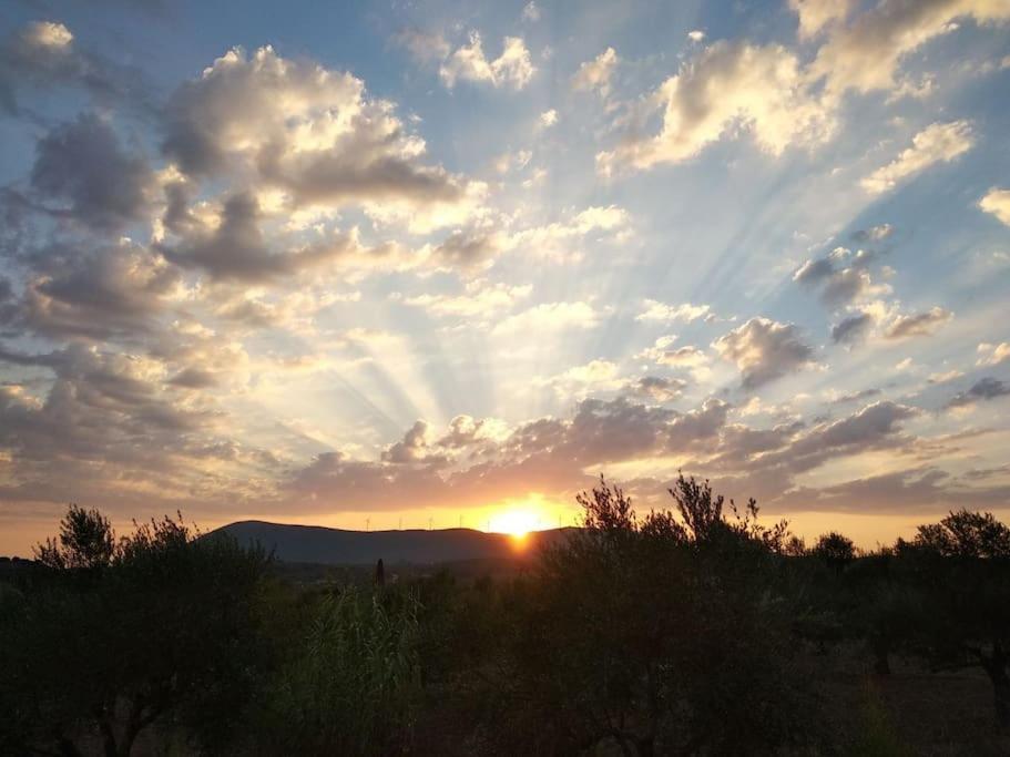 το σπίτι της ελιάς Villa